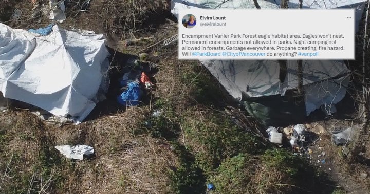 East Vancouver resident questions quick action to clear homeless from west side park – BC