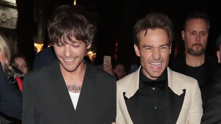 Louis Tomlinson Thanks Liam Payne for His Support After the Pair Reunite at Movie Premiere