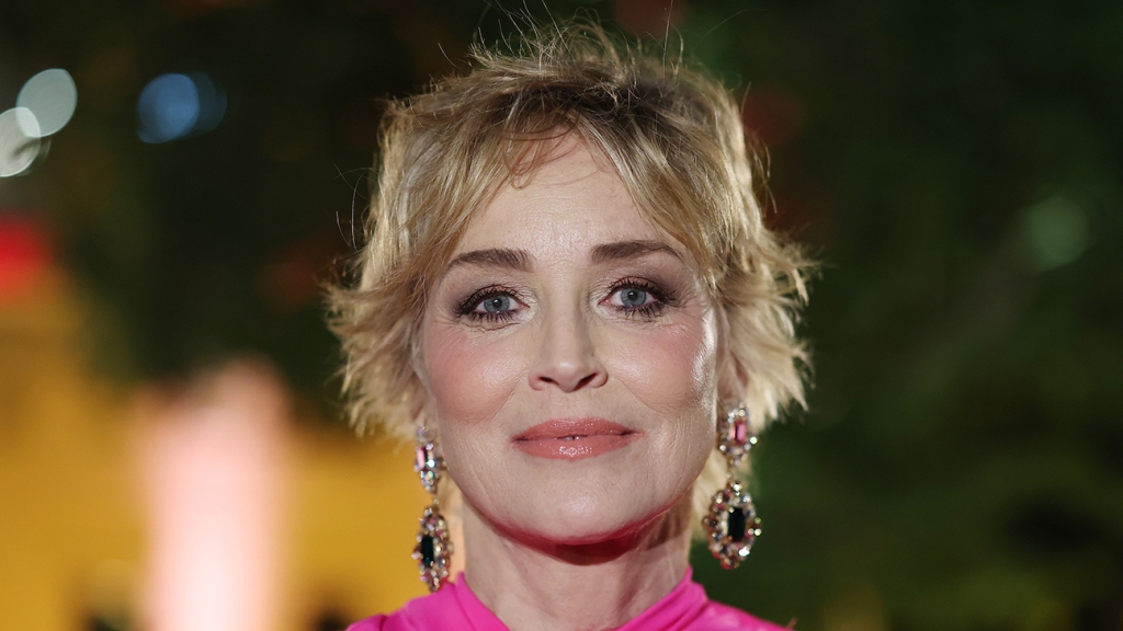 Sharon Stone Says She Lost Custody of Son Over ‘Basic Instinct’ Role – The Hollywood Reporter