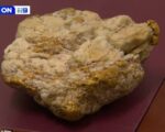 An amateur prospector unearthed a 4.6kilogram golden nugget worth $240,000 (pictured)
