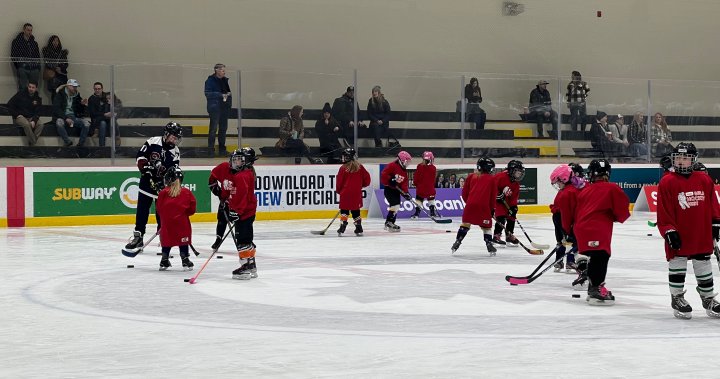 Winnipeg’s Girls HockeyFest 2023 helps young players up their game