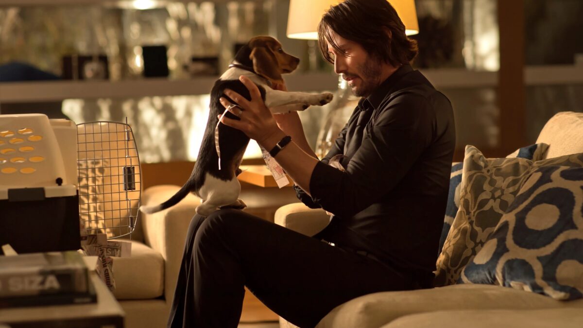 10 Writing and Directing Tips from the ‘John Wick’ Franchise