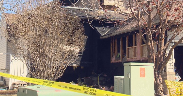 2 dogs die in Calgary house fire that temporarily closes grooming business – Calgary