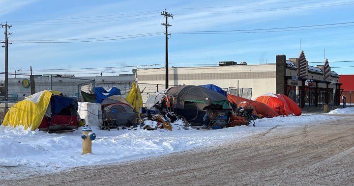 As Edmonton eyes new approach to dealing with homeless camps, mayor calls on province for support – Edmonton