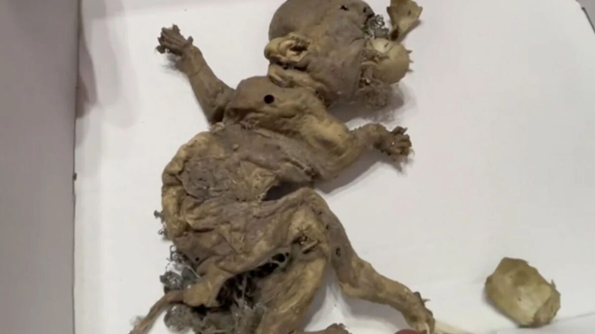 Creepy ‘goblin’ with claws and tail terrifies builders after being discovered in abandoned warehouse