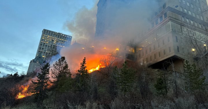 Fire crews called to blaze in Edmonton’s river valley