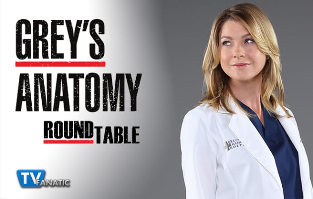 Grey’s Anatomy Round Table: Are You Team Maggie or Team Winston?