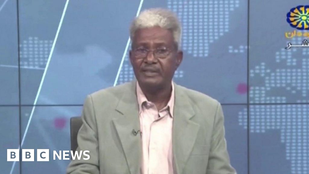 Gunshots heard on air during Sudan news bulletin