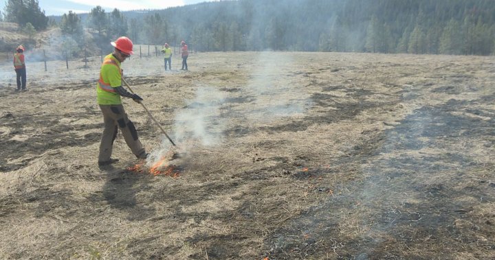 Indigenous-led prescribed burn with cultural significance in Kelowna, B.C. – Okanagan