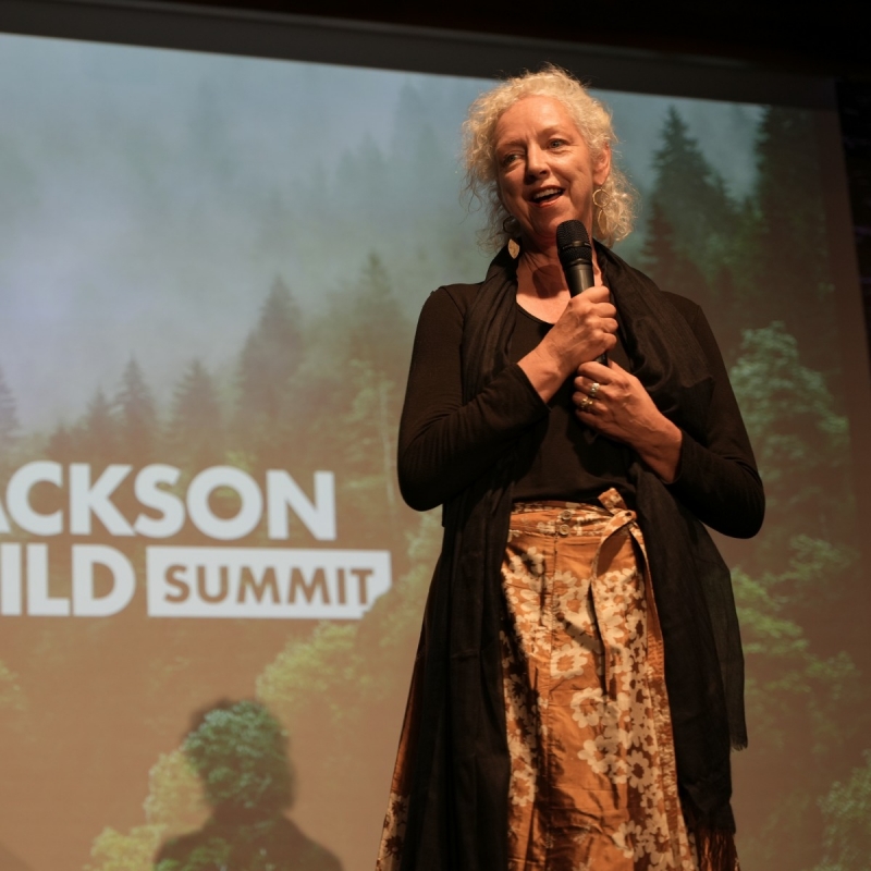Jackson Wild Executive Director Lisa Samford is stepping away from her role