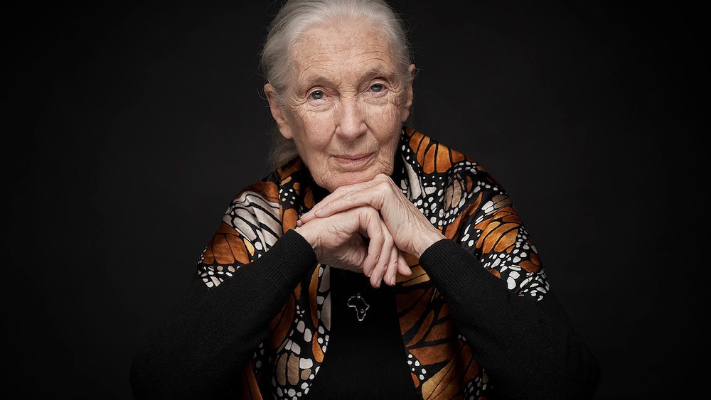 Jane Goodall Talks Apple TV+ Kids’ Series ‘Jane’ on Earth Day