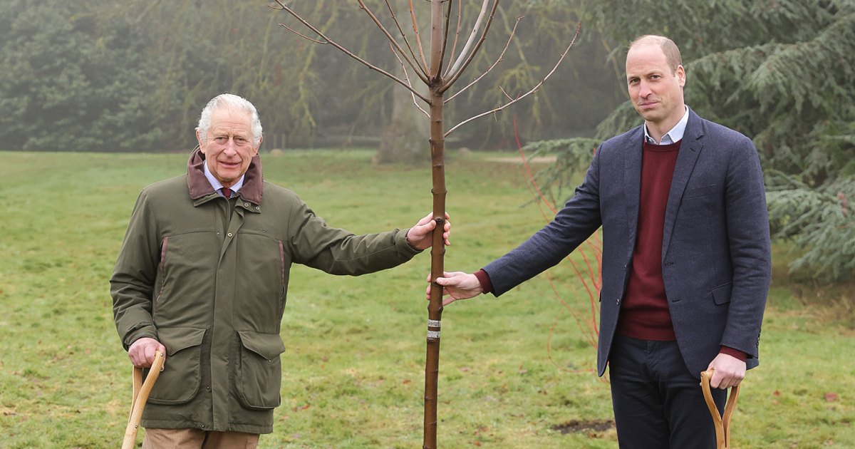 King Charles Ends Queen Elizabeth’s Green Canopy Project