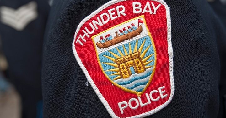 Panel to release roadmap for Thunder Bay, Ont., police reform – Barrie