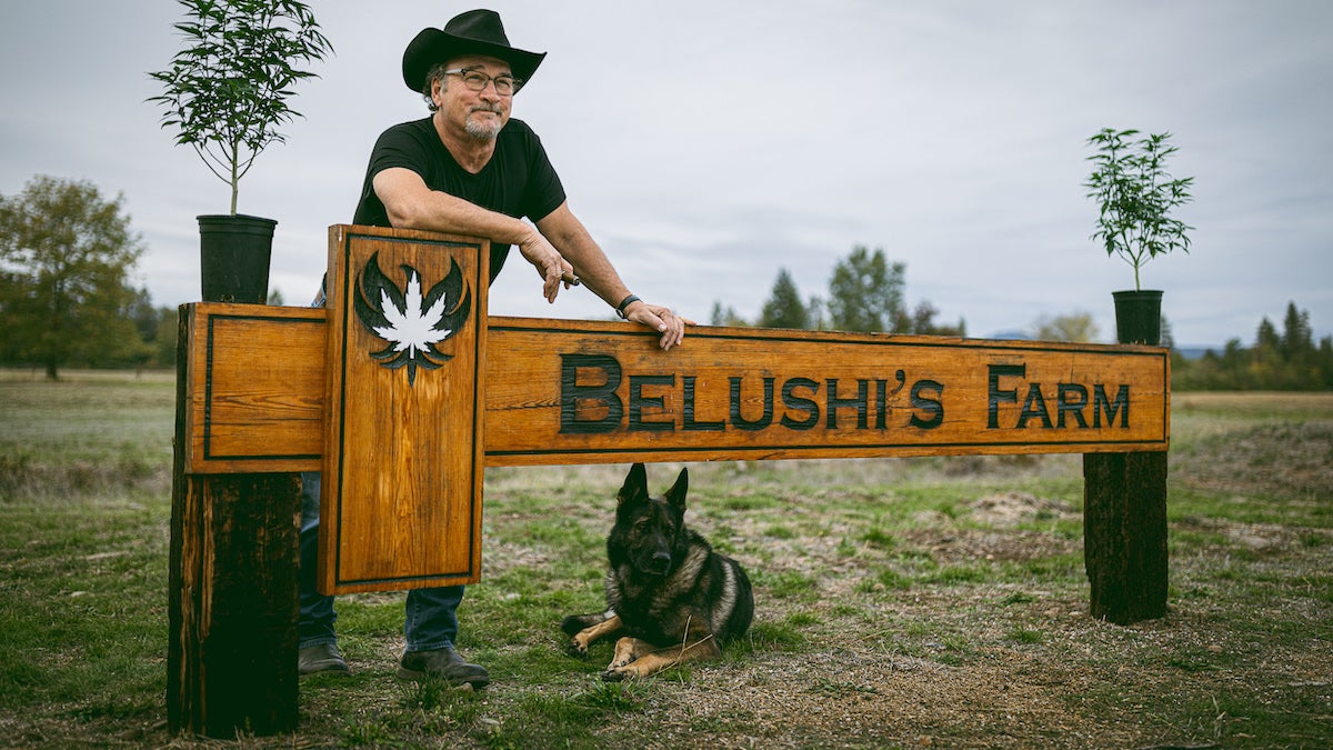 ‘SNL’ Alum Jim Belushi Blazed a Trail Outside His Comfort Zone to Farm Cannabis