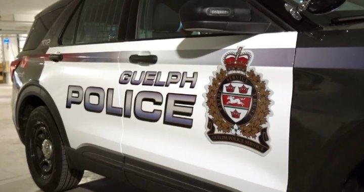 Thieves leave empty-handed in overnight break-in at Guelph business: police