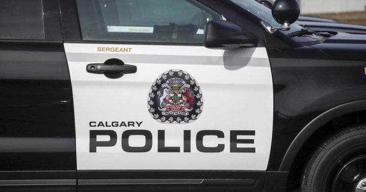 Two shootings rattle northeast Calgary neighbourhoods Saturday morning – Calgary