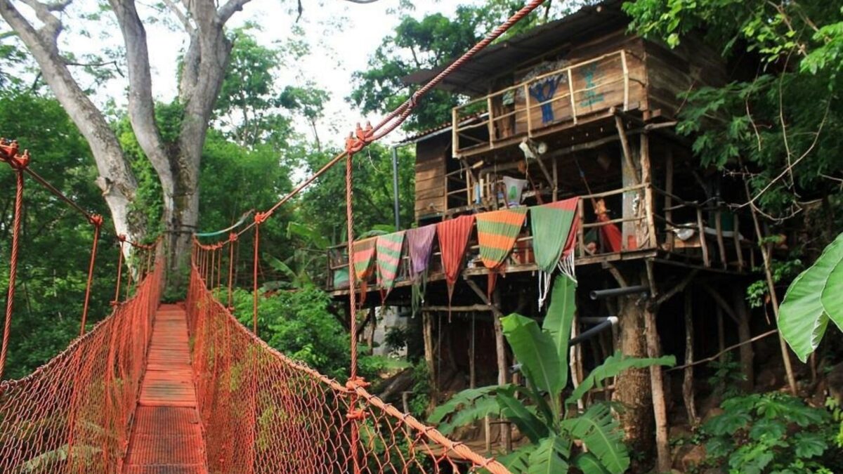Inside ‘world’s wildest secret’ party with booze-fuelled treetop rave in the middle of the jungle surrounded by monkeys