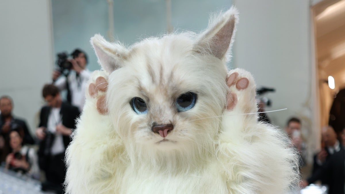 Jared Leto Scratches the Met Gala Carpet As a Giant Cat