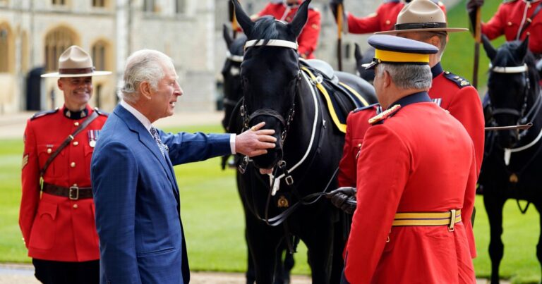 Meet King Charles III’s 8 Royal Coronation Horses