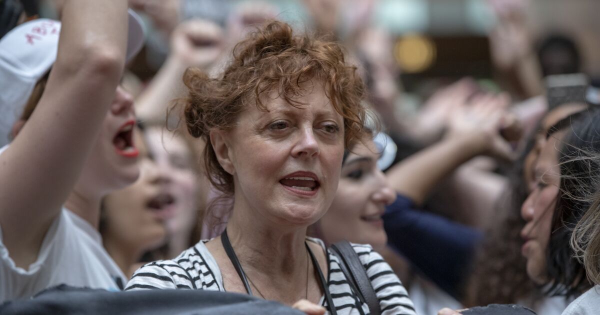 Susan Sarandon praised for her arrest in New York during protest