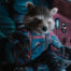 ‘Guardians of the Galaxy Vol. 3’ Review: Raccoon Tears and a Final Mixtape