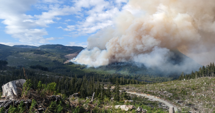 ‘Precipitation deficit’: Dry May raises wildfire risk on B.C.’s South Coast