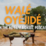 An Accidental First Feature—Walé Oyéjidé’s on His Stunning ‘Bravo, Burkina!’