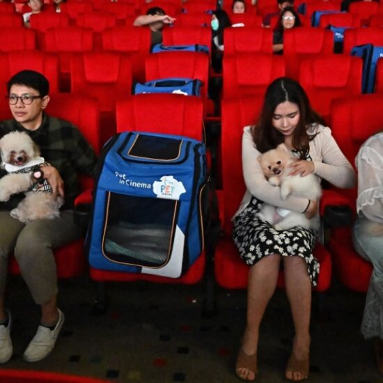 Asia’s Cinemas Get Innovative to Fill Seats – The Hollywood Reporter