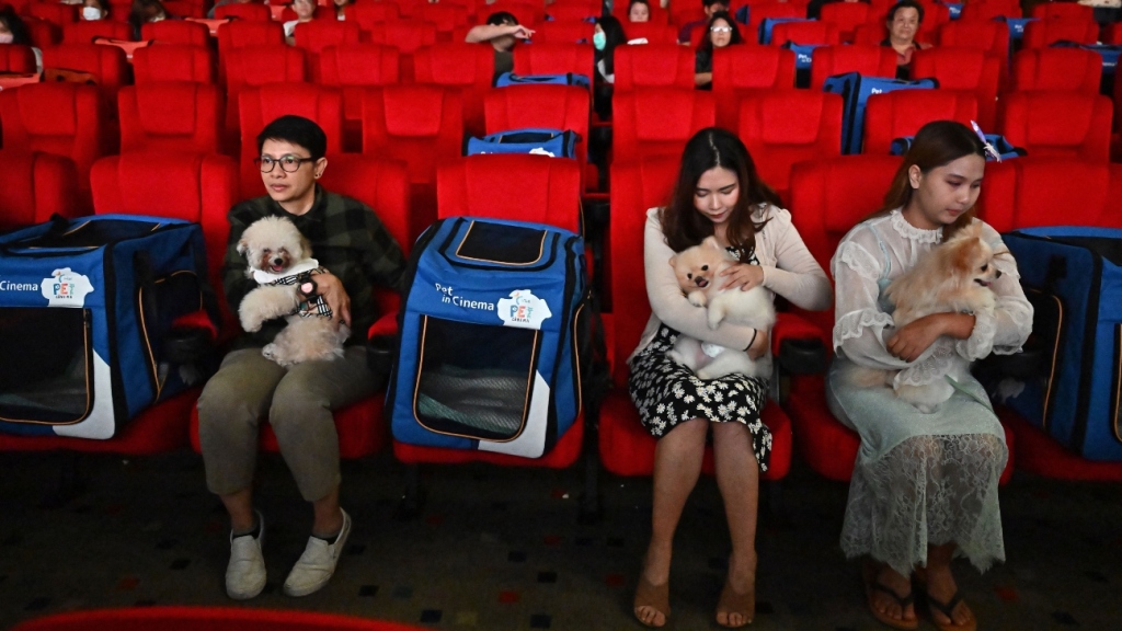 Asia’s Cinemas Get Innovative to Fill Seats – The Hollywood Reporter