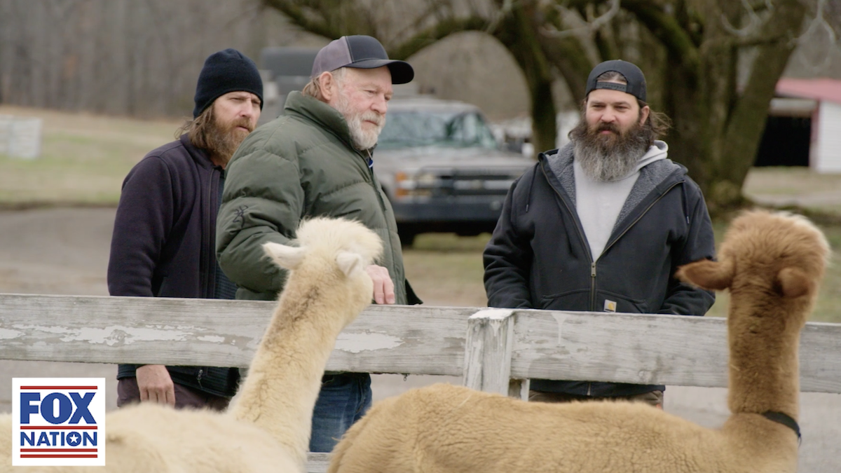 ‘Duck Dynasty’ Robertsons Gets Spooked by Llamas (Video)