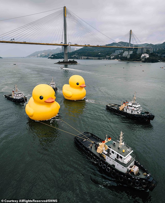 It's not every day that you see a giant 60-foot-tall rubber duck floating in Hong Kong waters, let alone two