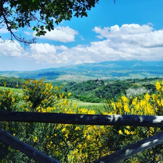 Location Spotlight: The Wine Country of Abruzzo