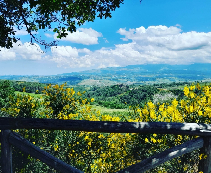 Location Spotlight: The Wine Country of Abruzzo