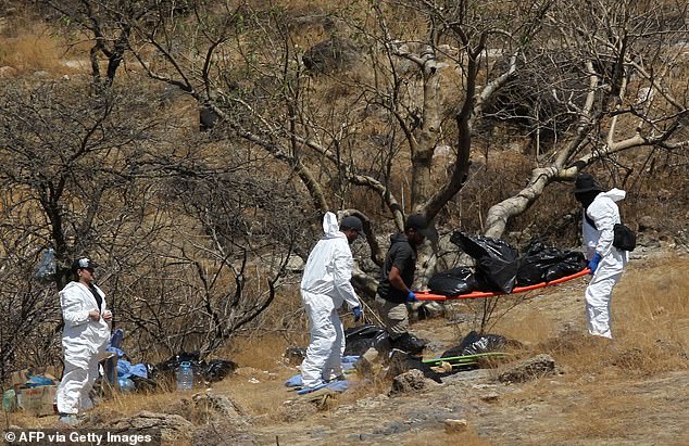 Forensic experts work carry several bags of human remains extracted from the bottom of a ravine in the western Mexican state of Jalisco, Tuesday