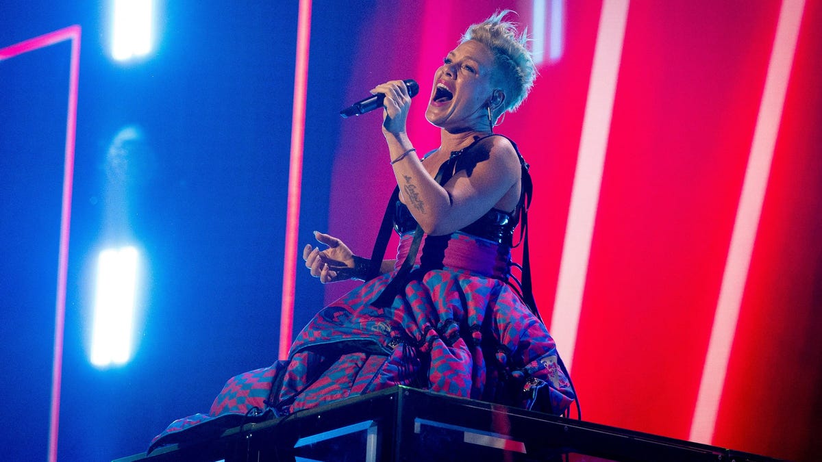 Pink concert is derailed as fan throws mother’s ashes onstage