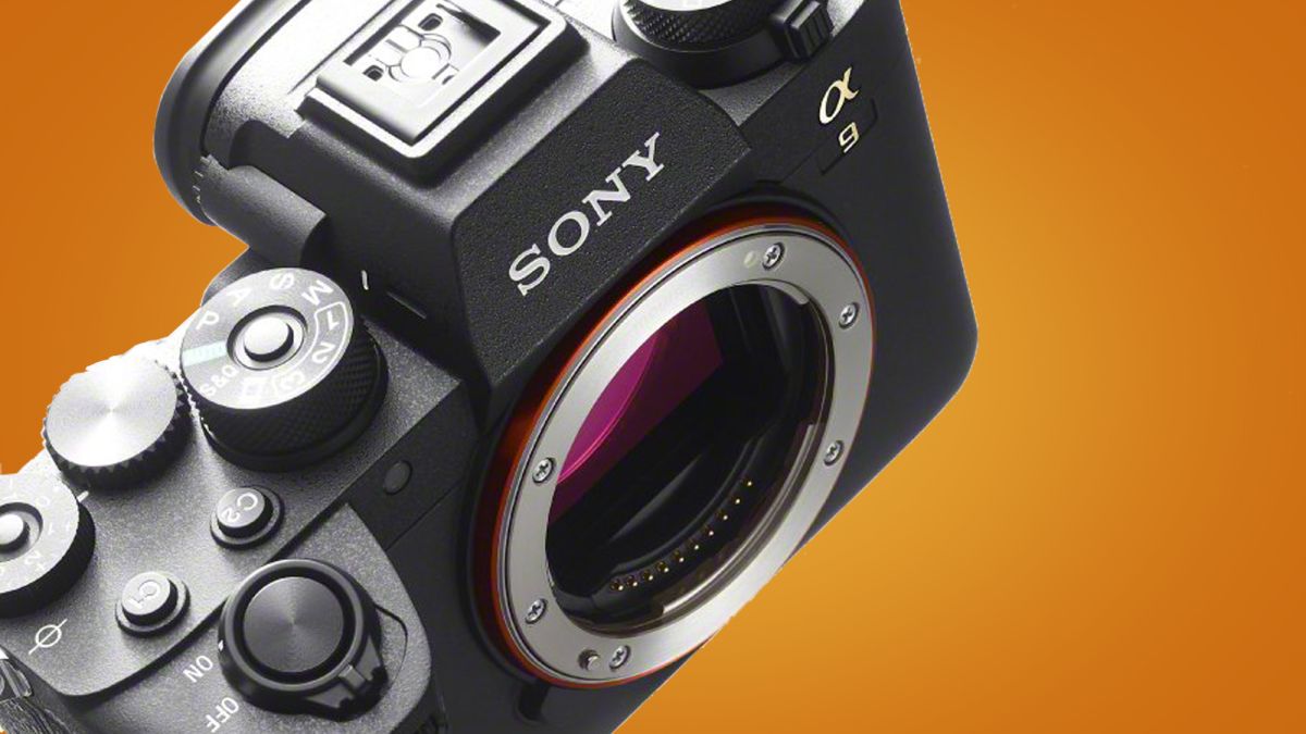 Sony’s next four mirrorless cameras could include the world’s fastest pro model
