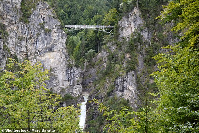 A US man hurled two female American tourists 165ft down a ravine (pictured) near a world famous German castle - killing one after he sexually assaulted her and her companion tried to fight him off, reports have claimed