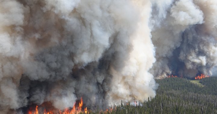 B.C. wildfires on rise as drought conditions persist; federal help en route