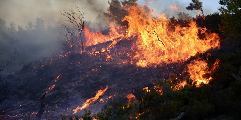 Greece fires 2023 LIVE: Up to 10,000 Britons remain on Rhodes as firefighters battle to extinguish blaze caused by extreme heatwave