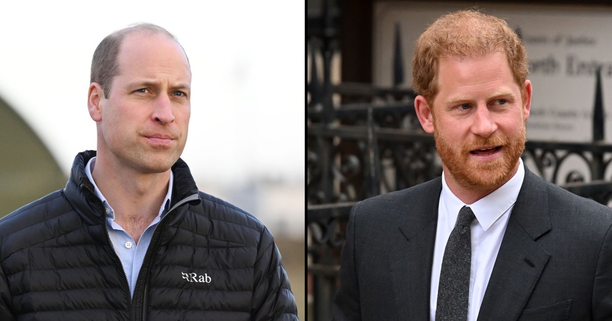 Princes William and Harry Appear Separately for Princess Diana Award
