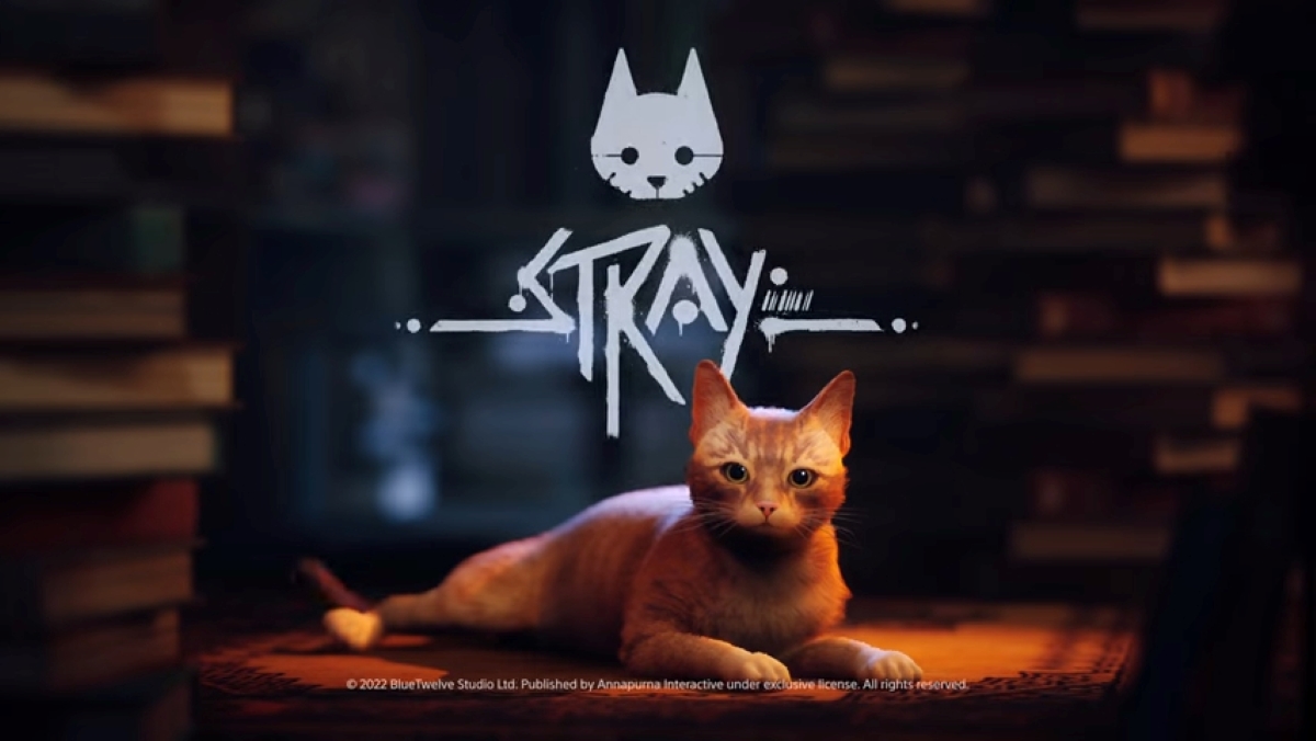 STRAY, the Video Game You Play as a Cat, Is Out Now, Coming to Xbox
