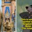 A Wild Bear Was Safely Captured At Walt Disney World
