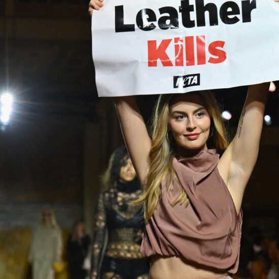 Another PETA Protestor Crashed a Fashion Show, And People Are Applauding How Security Handled It