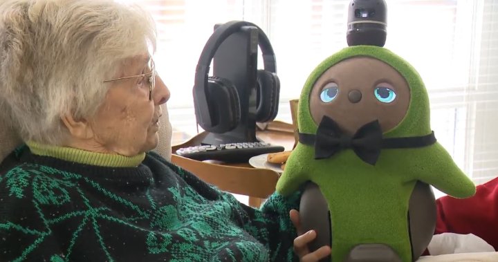 Can cute AI robots help with aging and dementia? UBC study seeks to find out
