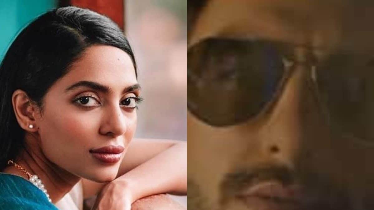 Don 3: Sobhita Dhulipala Wishes To Play The Female Lead Opposite Ranveer Singh: ‘I Would Be Thrilled’
