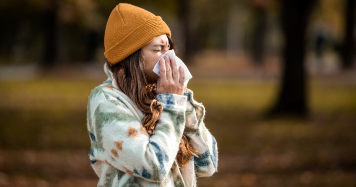 How bad could allergies get this fall? What Canadians can expect – National