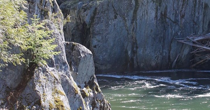 Kayaker dies on Cheakamus River Saturday: Squamish RCMP – BC