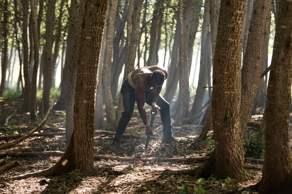 Netflix Orders Mandla Dube’s ‘Heart Of The Hunter’ On Mip Africa Slate – Deadline
