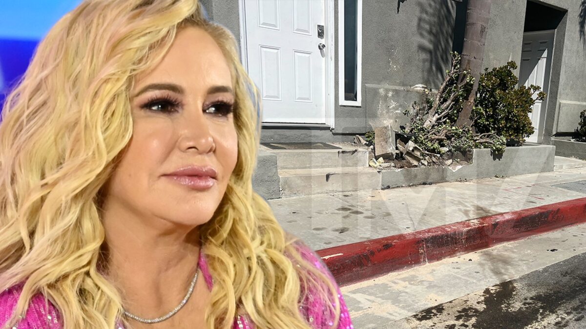 Shannon Beador Offers to Pay For Damaged Property Following DUI