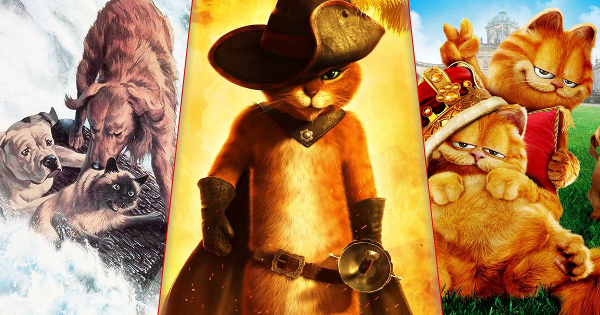 The Best Cat Movies of All Time
